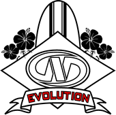 sublogo-evolution